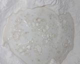 Foto del paso 1 de la receta: Pan de molde Económico
