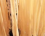 Une image de l'étape 5 de Spaghetti à l'encre de seiche gambas.