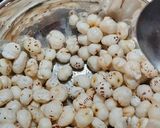 મસાલા મેજિક મખાના (Masala Magic Makhana Recipe In Gujarati) રેસીપી સ્ટેપ1ફોટો