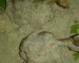 Foto langkah ke 7 dari resep Chicken Drumstick Nestum.