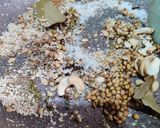 A picture of step 2 of Jain Veg Kolhapuri.