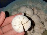 Basreng low budget cuma 3 bahan