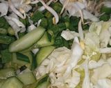 Foto langkah ke 3 dari resep Karedok.