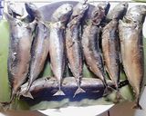 Foto langkah ke 3 dari resep Tongkol Ungkep/Pindang Simple.