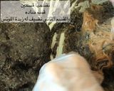 صورة لخطوة 7 من وصفة حلى العيد