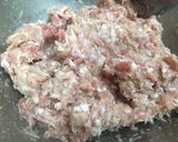 รูปขั้นตอนการทำที่ 3 ของ เกี๊ยวหมูทอดน้ำมัน vs เกี๊ยวหมูทอดน้ำ😆