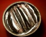 Foto del paso 12 de la receta Anchoas en salazón y con hierbas aromáticas, con mi método de treinta días de curación