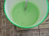 Bolu chiffon pandan