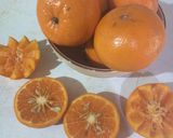 A picture of step 1 of Fresh Orange juice.