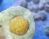 Foto langkah ke 6 dari resep Kue mochi kacang tanah.