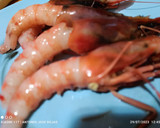 Foto del paso 1 de la receta: Arroz con gambas rojas y setas