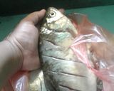 Foto langkah ke 1 dari resep Ikan Bader Bakar.