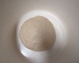 Foto langkah ke 5 dari resep Bakpao (No Mixer).