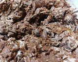 Foto del paso 5 de la receta: Galletas con Cacao Puro Estilo Nueva York