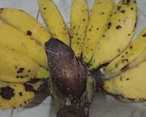 Foto langkah ke 2 dari resep Pisang goreng kres.
