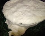 Foto del paso 3 de la receta: Calzone