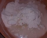 A picture of step 2 of Shaker paray.