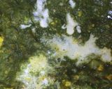A picture of step 6 of Palak paneer.