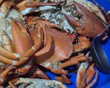 Foto langkah ke 2 dari resep Kepiting Saos Tomat.