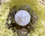 Φωτογραφία βήματος 1 της συνταγής Κρέμα βρώμης με μήλο! (Oatmeal with apple)!
