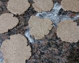 Foto del paso 4 de la receta: Pancito chato fáciles para el desayuno o la Merienda