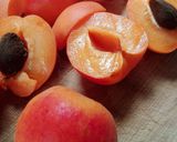 Foto del paso 7 de la receta: Cheesecake de ricotta con frutas de verano