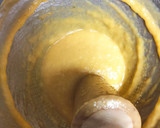Foto del paso 3 de la receta: Vichyssoise (crema de puerros)
