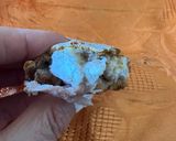Foto del passaggio 4 della ricetta Fagottini di batata ripieni 😋
