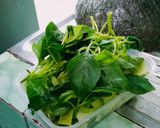 Foto langkah ke 1 dari resep Sayur bening.