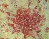Une image de l'étape 7 de Couscous à la grenade.