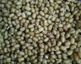 स्प्राउट्स (sprouts recipe in Hindi) रेसिपी चरण 1 फोटो