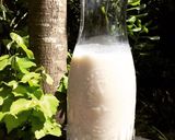 Foto del paso 3 de la receta: Aderezo a base de bagazo (Almendras)