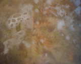 Foto del paso 2 de la receta: Pasta bandera 🇲🇽