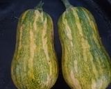 Foto del paso 2 de la receta: Raviolones de calabaza y muzzarella