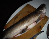 Foto del paso 1 de la receta: Tararira frita (pescado de rio)