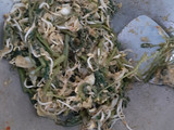 Urap sayuran