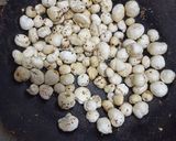 A picture of step 1 of Sattu ladoo.