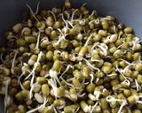 A picture of step 1 of Healthy green wadi.