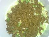 Martabak telur +daging
