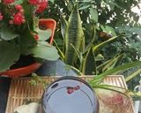 Hình bước làm 3 của món Nước sâm tiên thảo