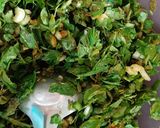 A picture of step 1 of Jowar Methi Lasooni Mini Chilla.