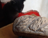 Foto del paso 10 de la receta: PAN de molde con MASA MADRE