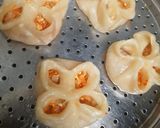 A picture of step 5 of Open Momo.