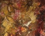 A picture of step 2 of Kidney sauce.