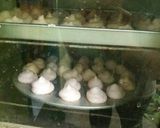 Foto langkah ke 5 dari resep Meringue Cookies.
