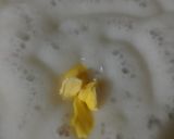 Foto langkah ke 6 dari resep Puding Pepaya.