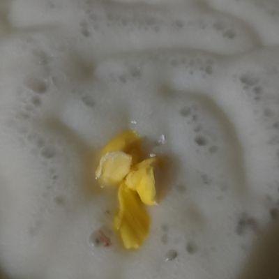 Langkah 6