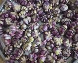 عکس مرحله 1 از دستور سیر ترشی خانگی