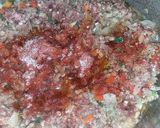 Foto del paso 8 de la receta: Salsa Bolognesa casera y fácil - Paso a paso