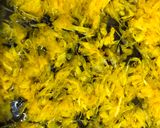A picture of step 2 of Chrysanthemums Sushi.
